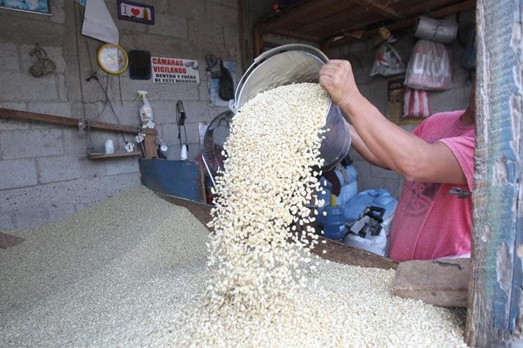   The price of the white maize quince was quoted in the La Terminal market in August to Q170. (Foto Prensa Libre: Hemeroteca) 