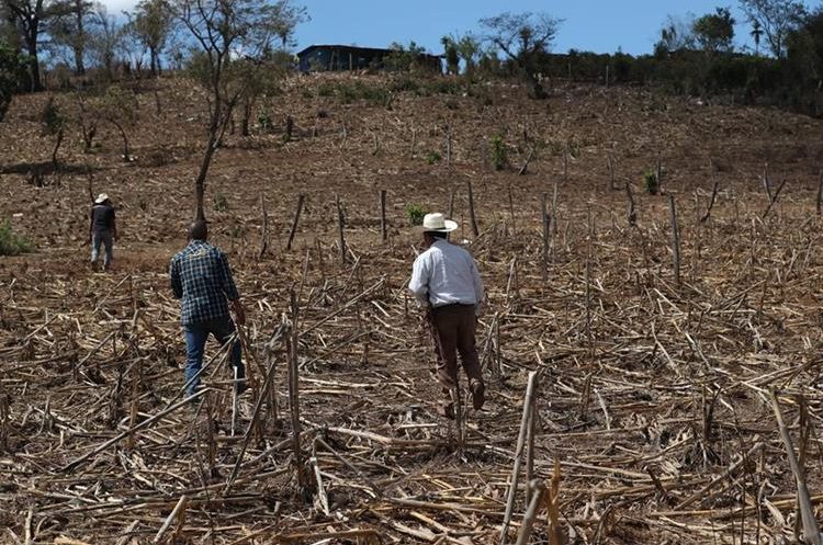 Cantón Valencia en Jutiapa, otra de las áreas afectadas por la sequía. (Foto Prensa Libre: Hemeroteca PL)