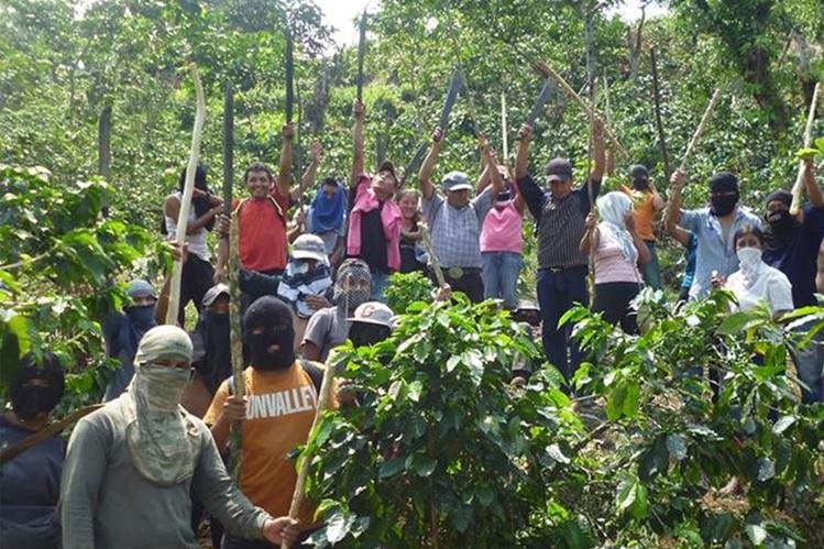 Campesinos Invaden Finca Para Exigir Pago De Prestaciones Laborales En El Tumbador 1366