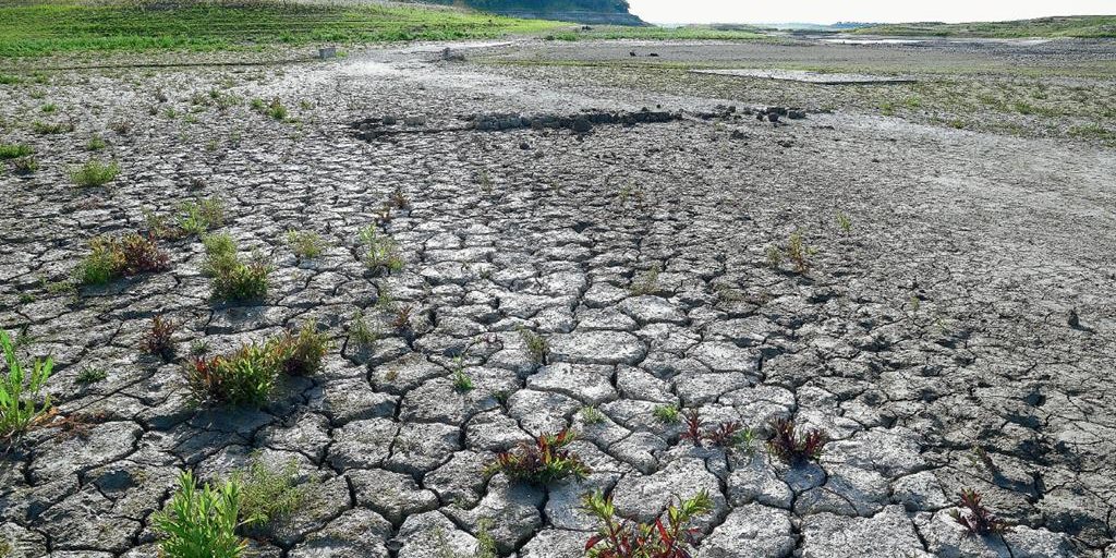 Sequía histórica amenaza a 38 millones en California
