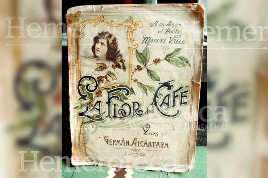 La flor del café, un vals con elegancia