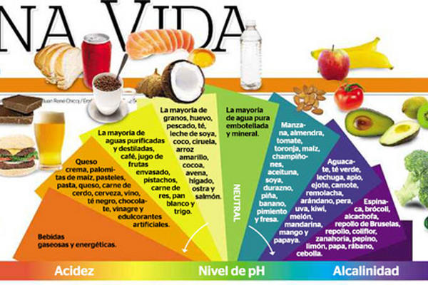 Para Conocer Más De La Dieta Alcalina 1974