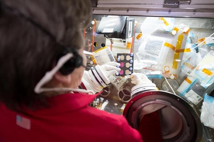 La astronauta Peggy Whitson trabaja con Azonafide, la molécula que posiblemente ofrezca una cura al cáncer en humanos. (Foto Prensa Libre: NASA)