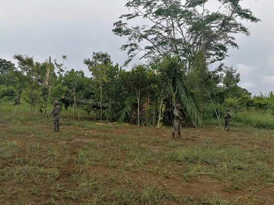 Soldados resguardan la avioneta localizada en Arroyo del Delgado, El Zompopero, San Luis, Petén. (Foto Prensa Libre:)